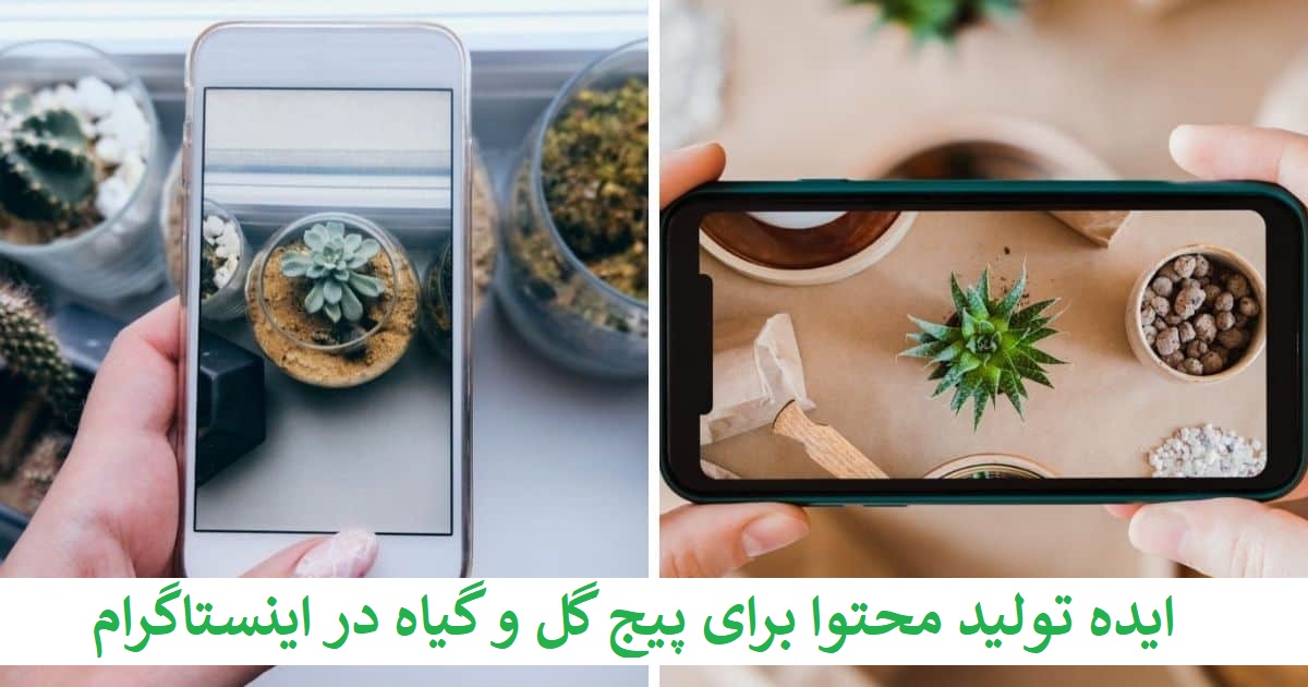 ایده تولید محتوا برای پیج گل و گیاه در اینستاگرام