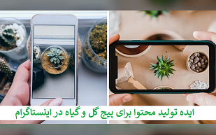 ایده تولید محتوا برای پیج گل و گیاه در اینستاگرام